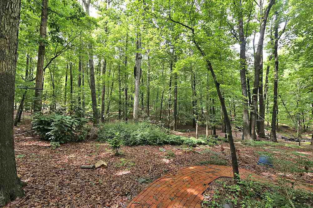 10205 Roadstead Way West Raleigh, NC 27613 - Photo 21 of 22 Backyard