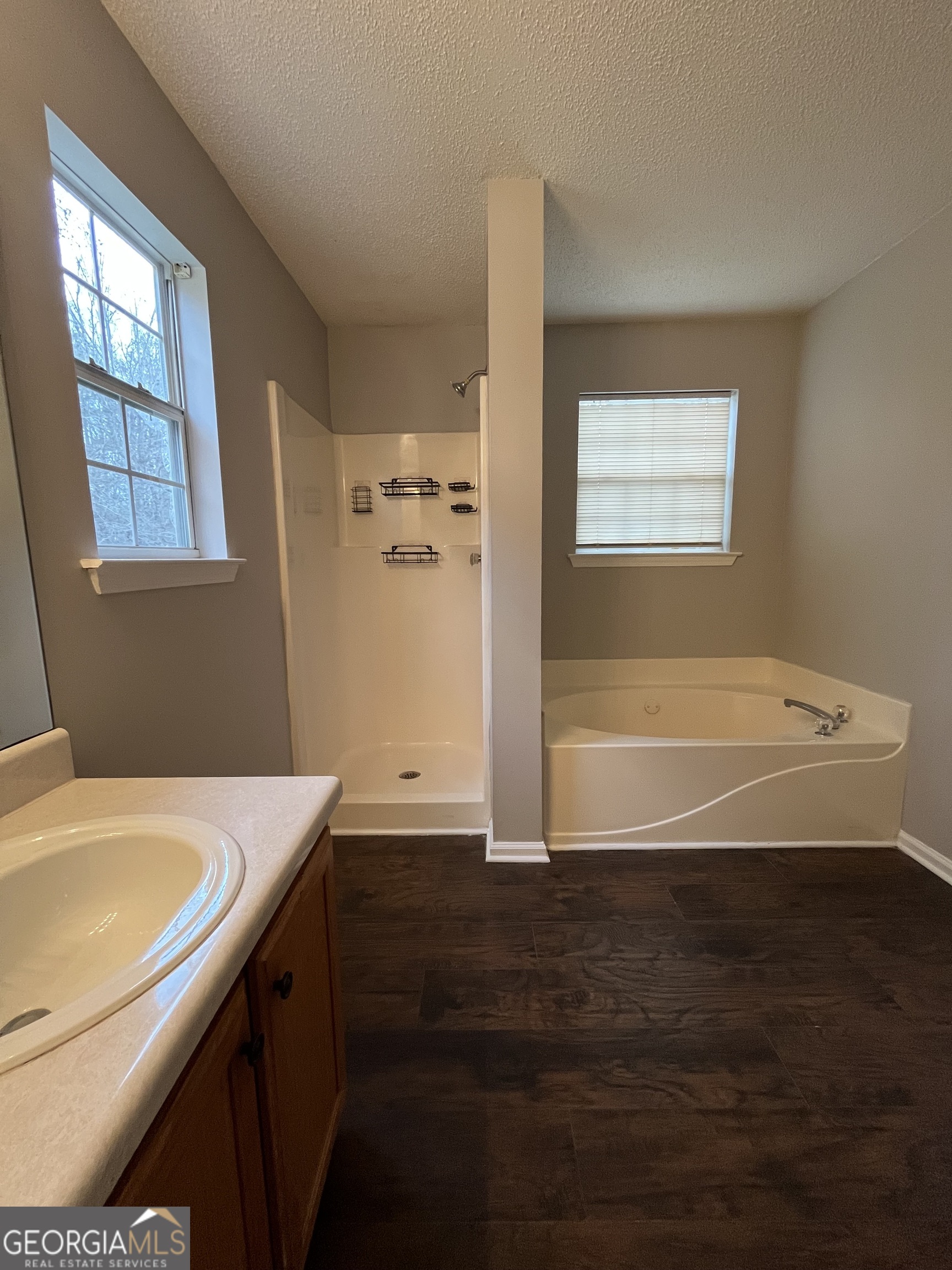 156 Galway Lane Hampton, GA 30228 - Photo 37 of 44 a bathroom with a bathtub and a sink