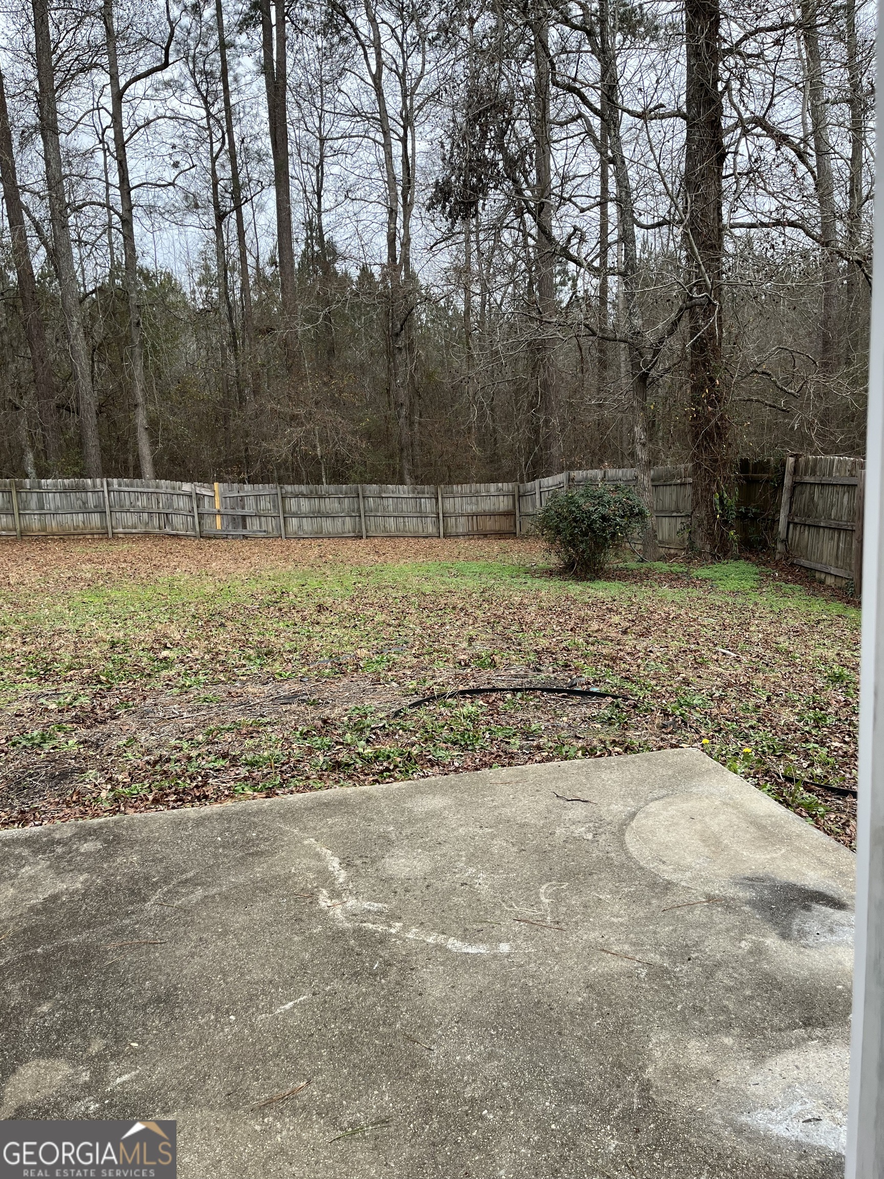 156 Galway Lane Hampton, GA 30228 - Photo 40 of 44 a view of a yard with large trees