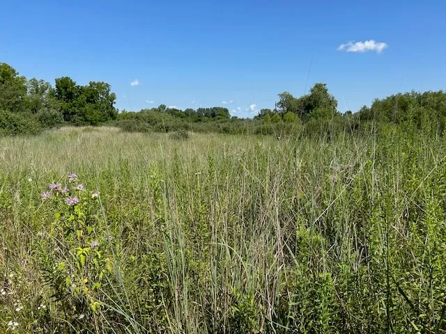 a view of lake with green space