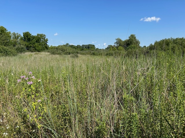 10502 Seaman Road Hebron, IL 60034 - Photo 19 of 27 a view of lake with green space