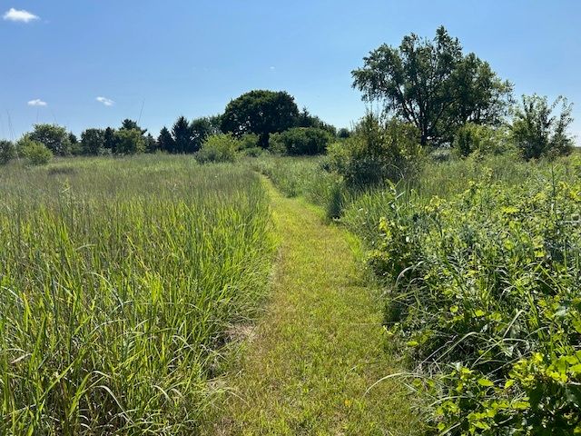 a view of a lake with a yard