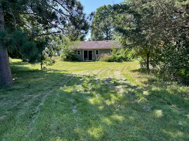 a view of a big yard with plants and large trees