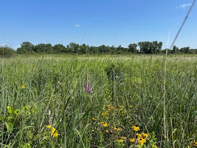 a view of a lake view with a big yard