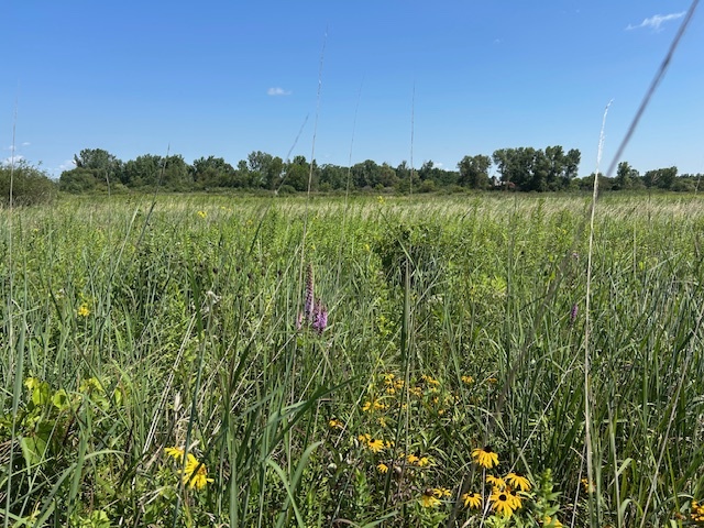10502 Seaman Road Hebron, IL 60034 - Photo 24 of 27 a view of a lake view with a big yard
