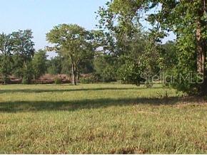 0 Southeast 147th Street Summerfield, FL 34491 - Photo 1 of 1 Primary Photo