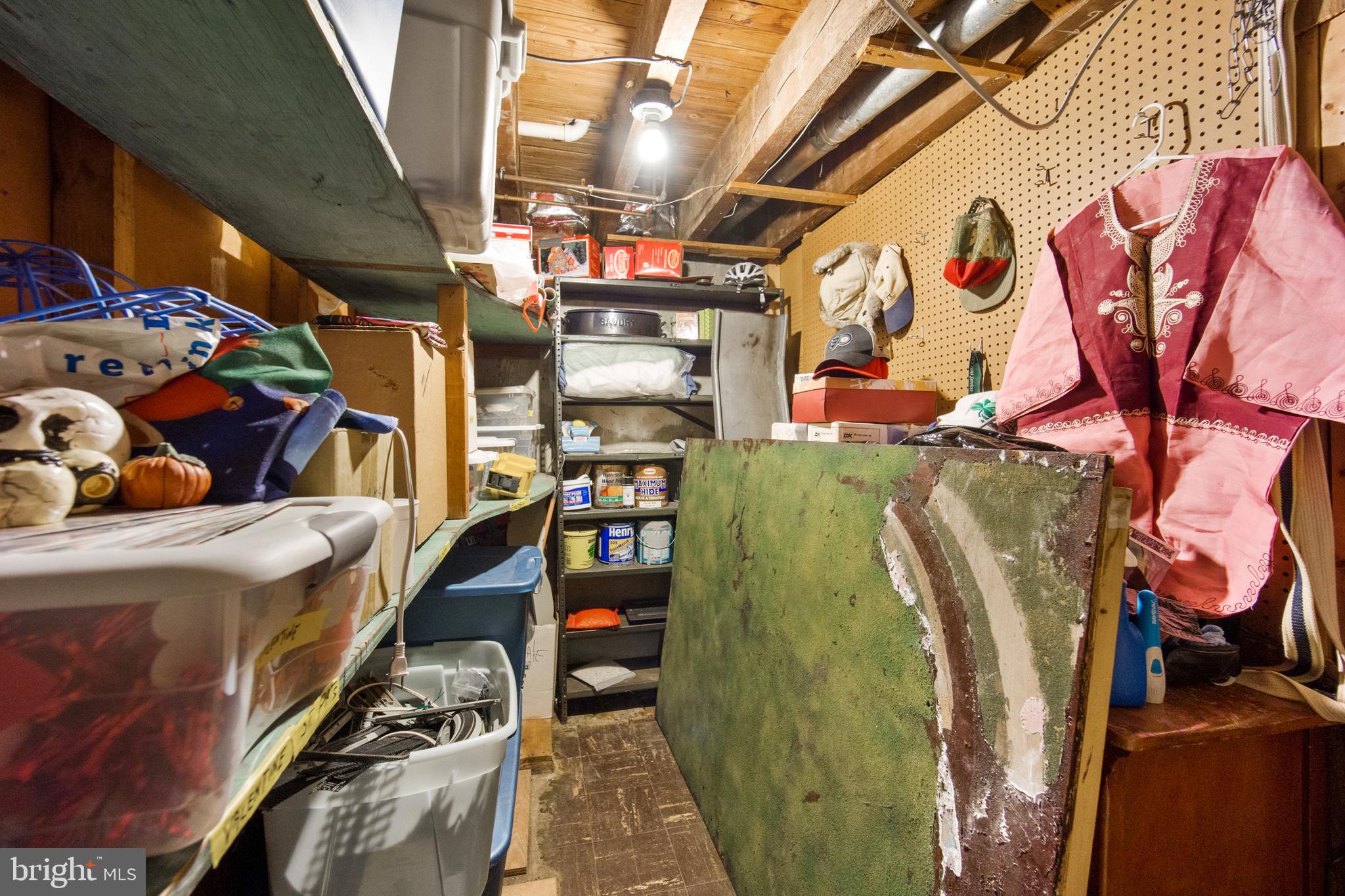 209 Ridley Avenue Folsom, PA 19033 - Photo 25 of 30 Storage