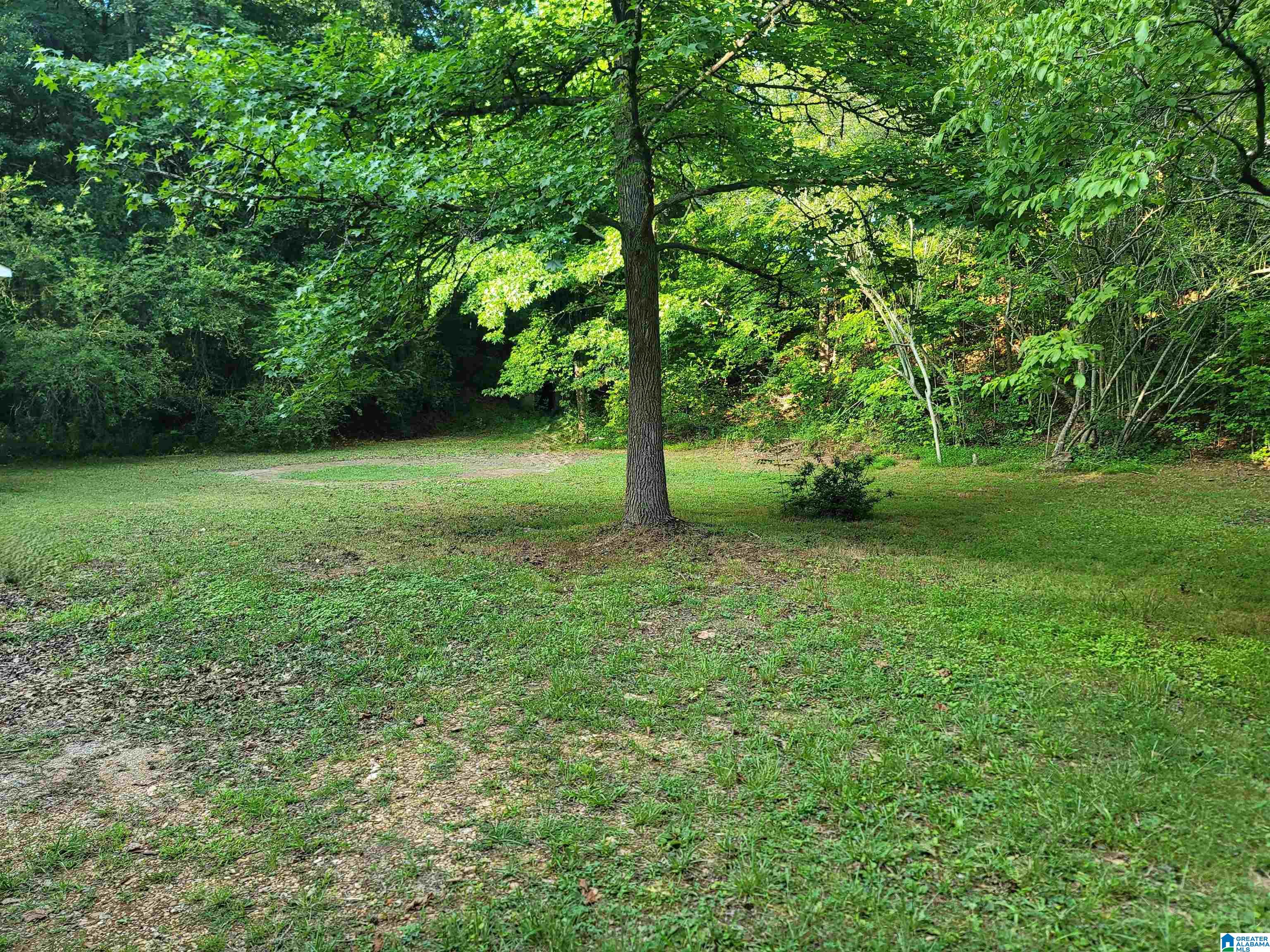 232 Brown Street Heflin, AL 36264 - Photo 3 of 26