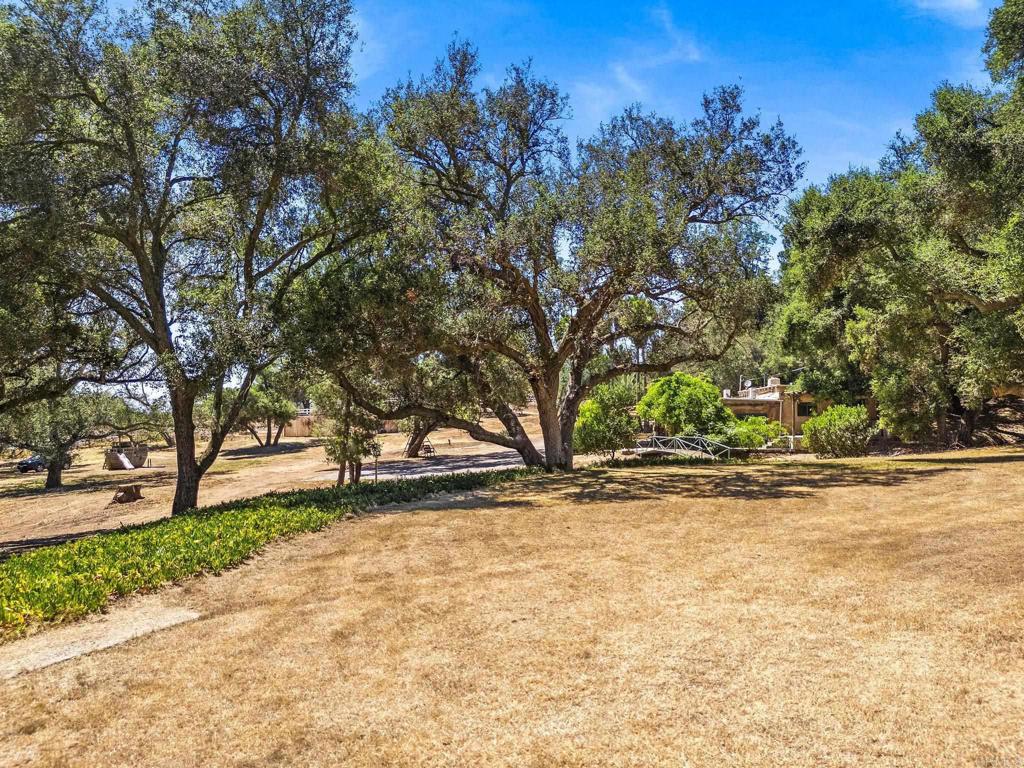 13511 Hilldale Road Valley Center, CA 92082 - Photo 12 of 46 a view of a yard with a tree