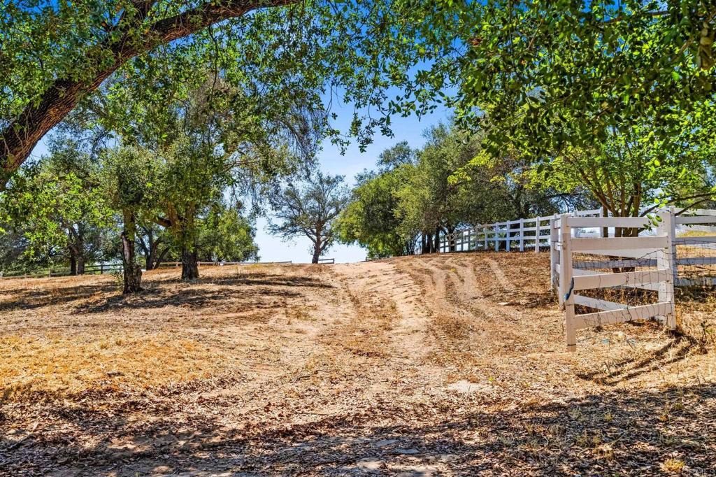 13511 Hilldale Road Valley Center, CA 92082 - Photo 13 of 46 a view of yard with trees