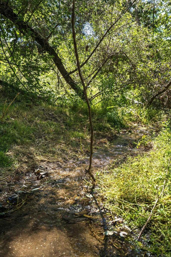 13511 Hilldale Road Valley Center, CA 92082 - Photo 22 of 46 a view of a large yard with lots of bushes