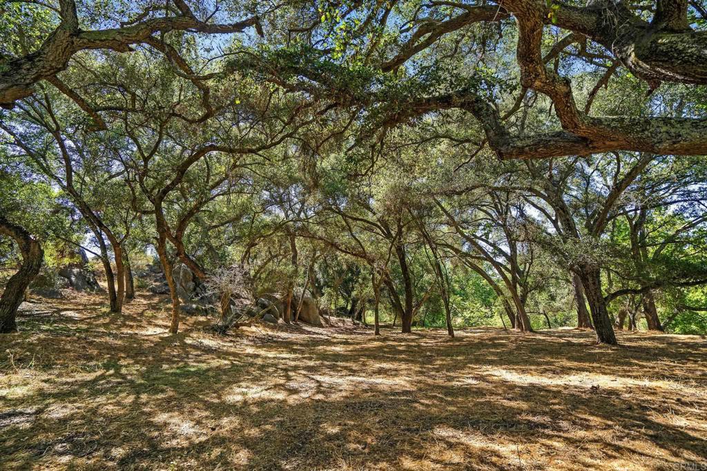 13511 Hilldale Road Valley Center, CA 92082 - Photo 23 of 46 a view of a yard with a tree