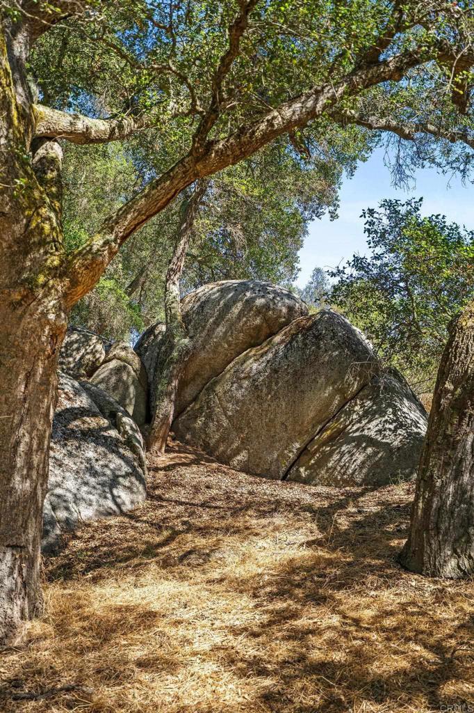 13511 Hilldale Road Valley Center, CA 92082 - Photo 25 of 46 a view of mountain view with lots of trees