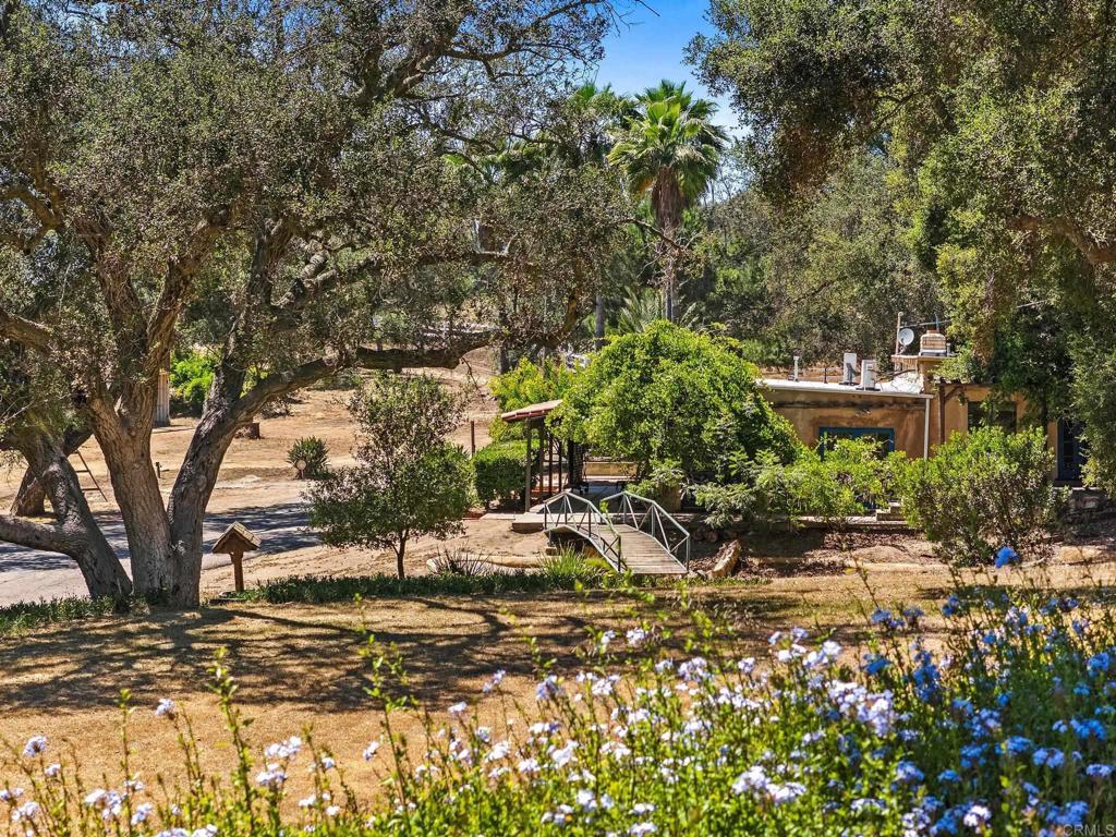 13511 Hilldale Road Valley Center, CA 92082 - Photo 5 of 46 a view of a yard with plants and trees