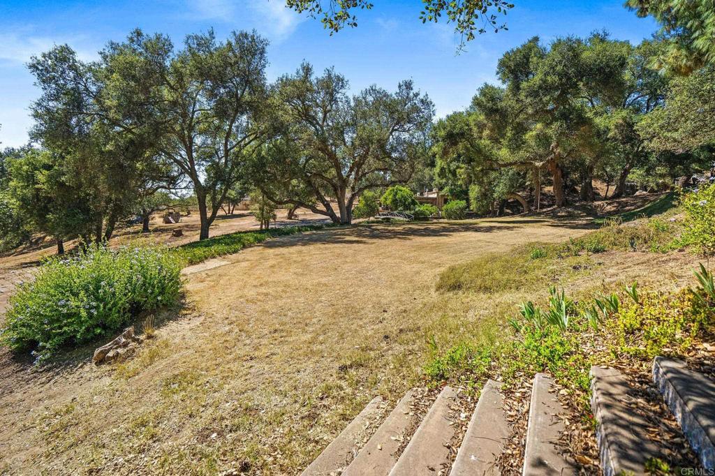 13511 Hilldale Road Valley Center, CA 92082 - Photo 8 of 46 a view of a yard with an trees