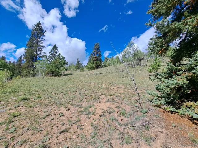 a view of a backyard of the house