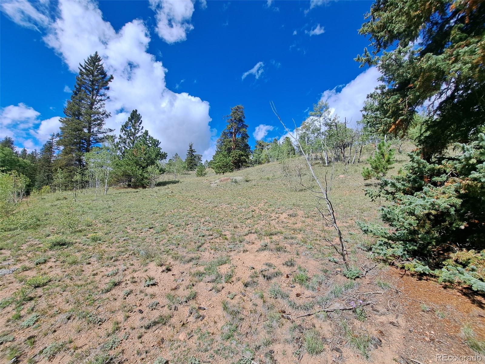 6452 Remington Road Como, CO 80432 - Photo 12 of 15 a view of a backyard of the house