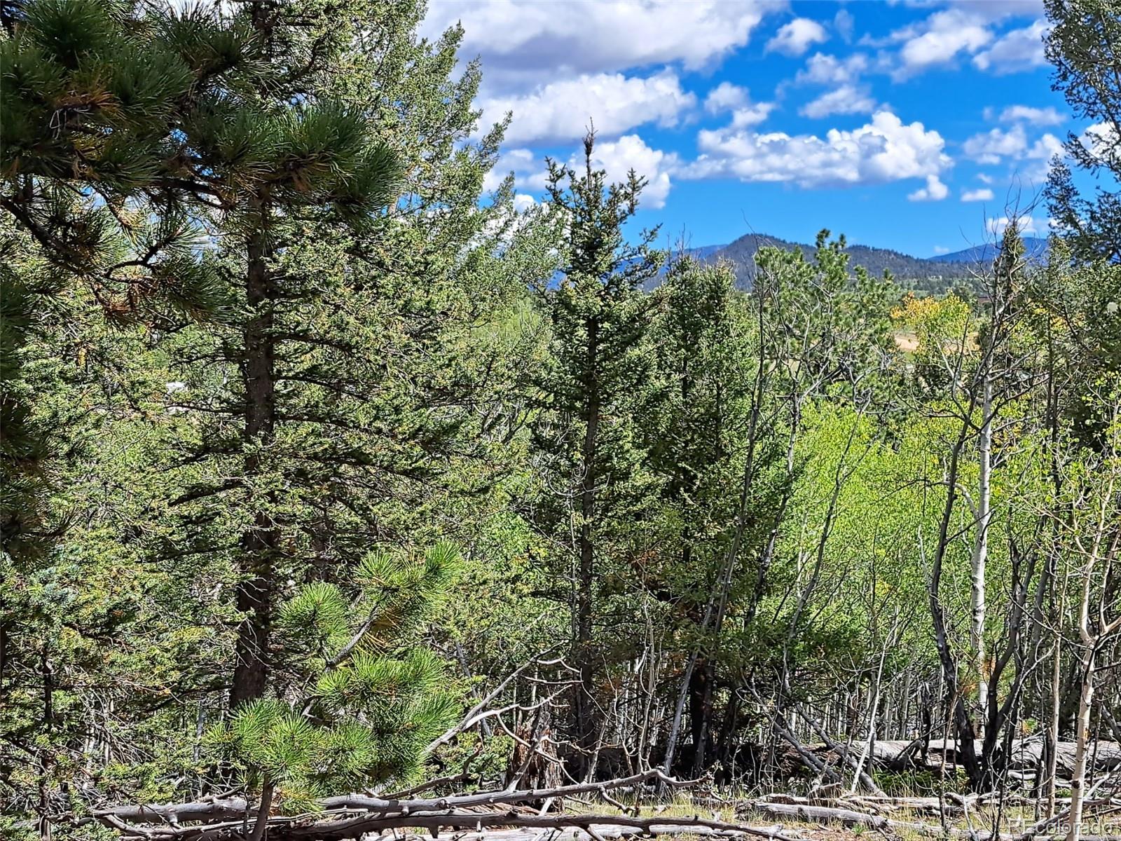 6452 Remington Road Como, CO 80432 - Photo 4 of 15 a view of a building with a tree