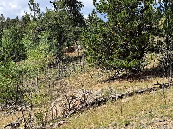 a view of swimming pool with a yard