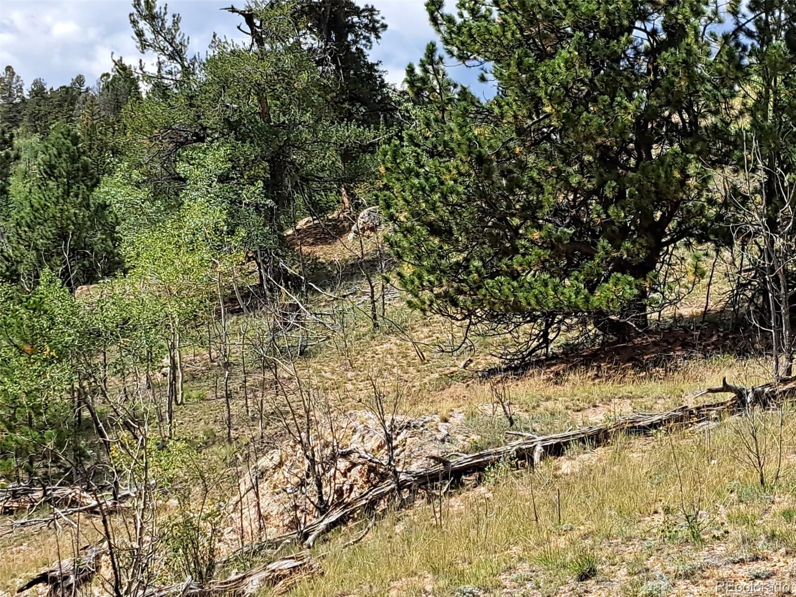 6452 Remington Road Como, CO 80432 - Photo 6 of 15 a view of swimming pool with a yard