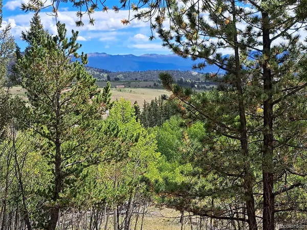 a view of a lake in between two of trees