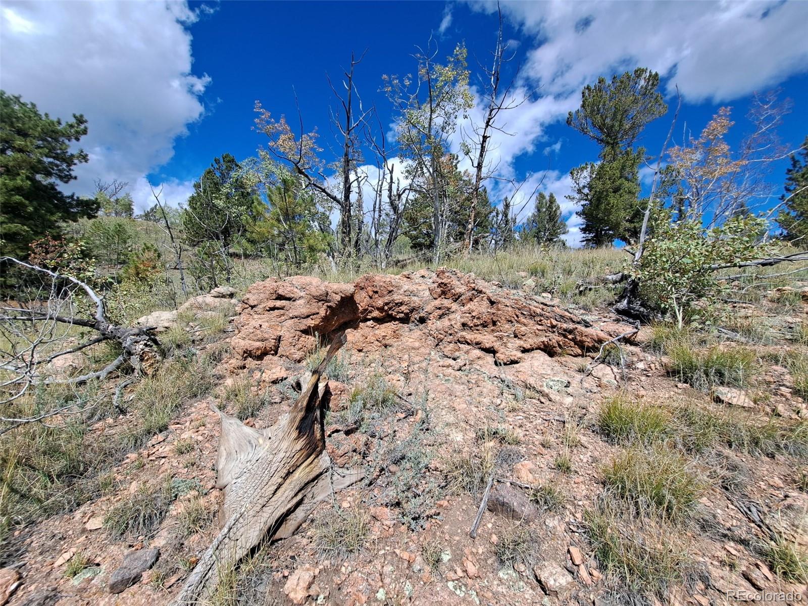 6452 Remington Road Como, CO 80432 - Photo 8 of 15 a view of a tree with a yard