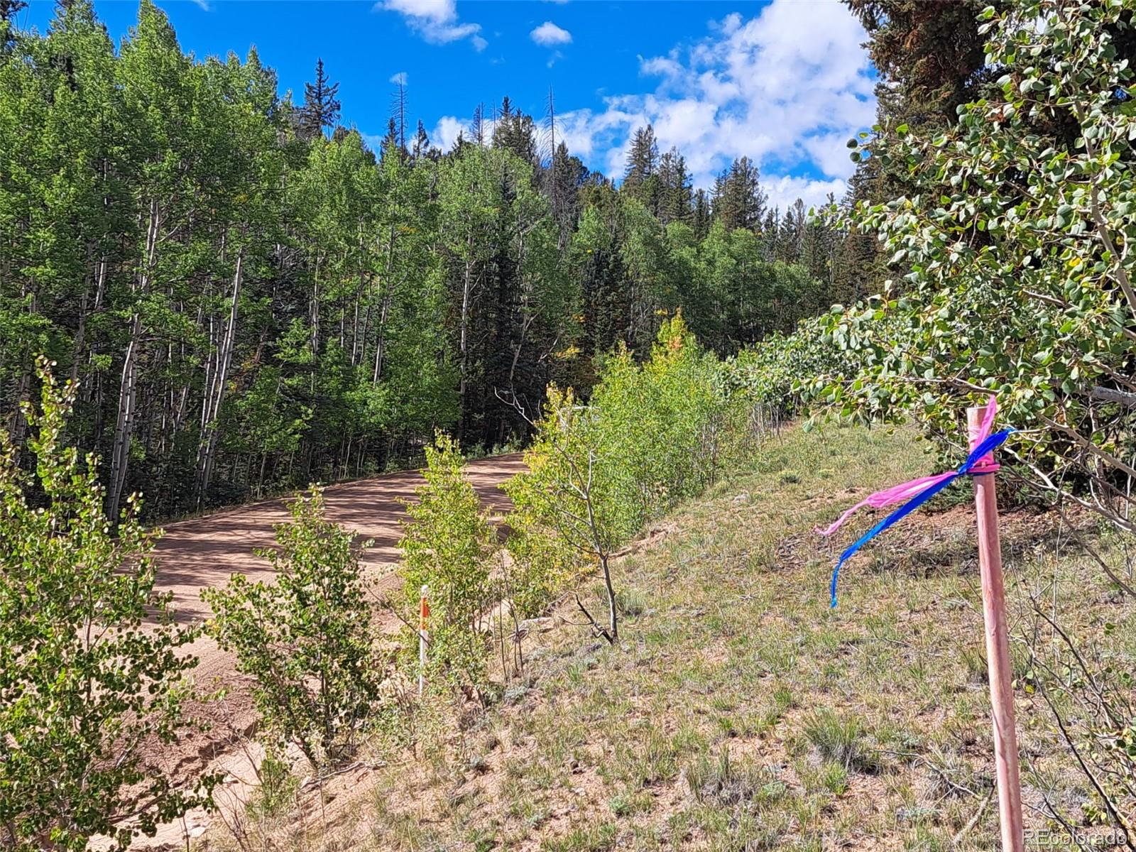 6452 Remington Road Como, CO 80432 - Photo 10 of 15 a backyard of a house with lots of green space