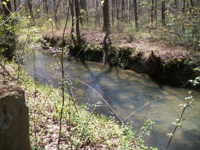 1405 Roddy Springs Road Coalmont, TN 37313 - Photo 14 of 15 Gallery Image 14