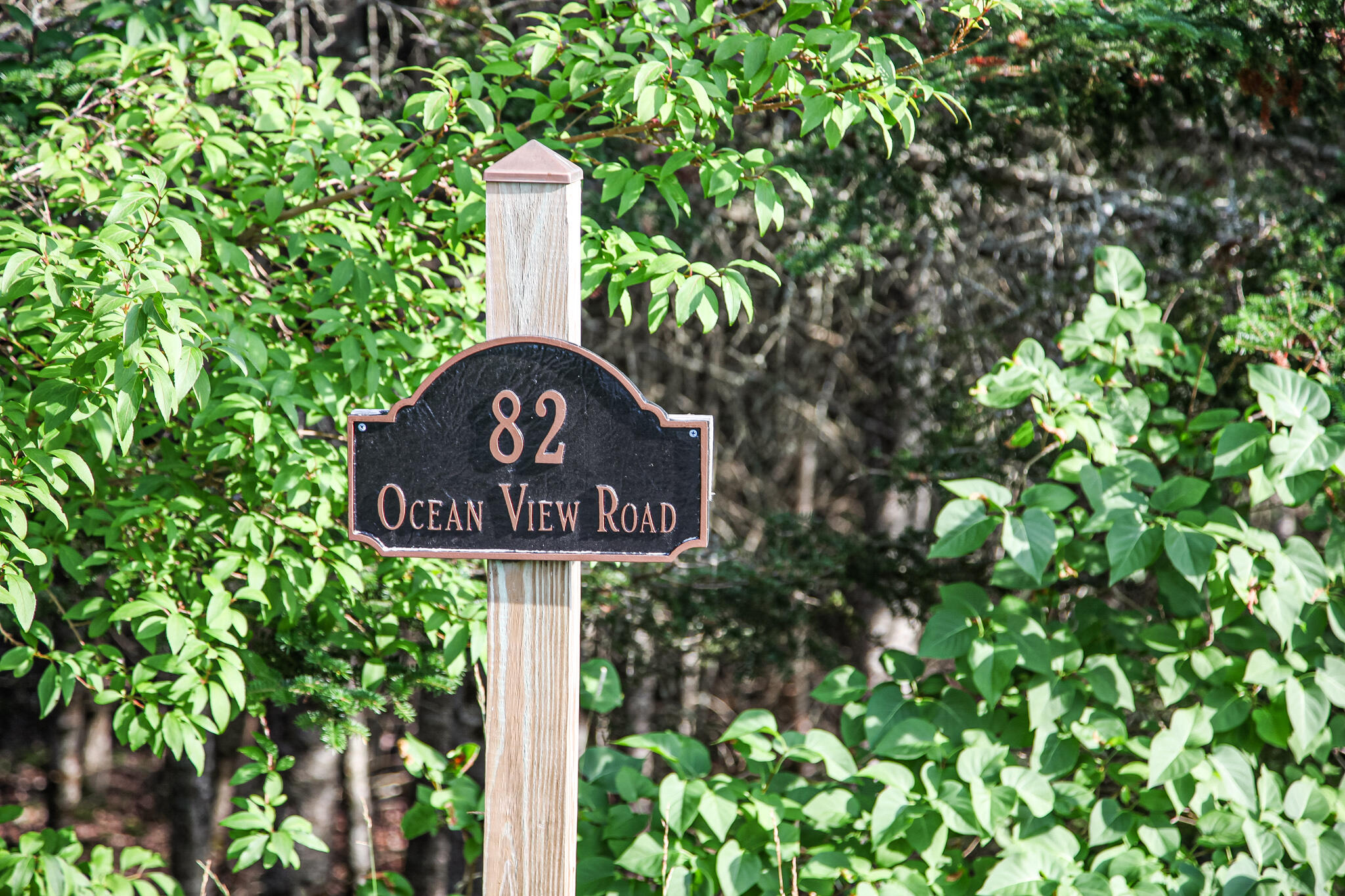 82 Ocean View Road Jonesboro, ME 04648 - Photo 77 of 77 IMG_6676