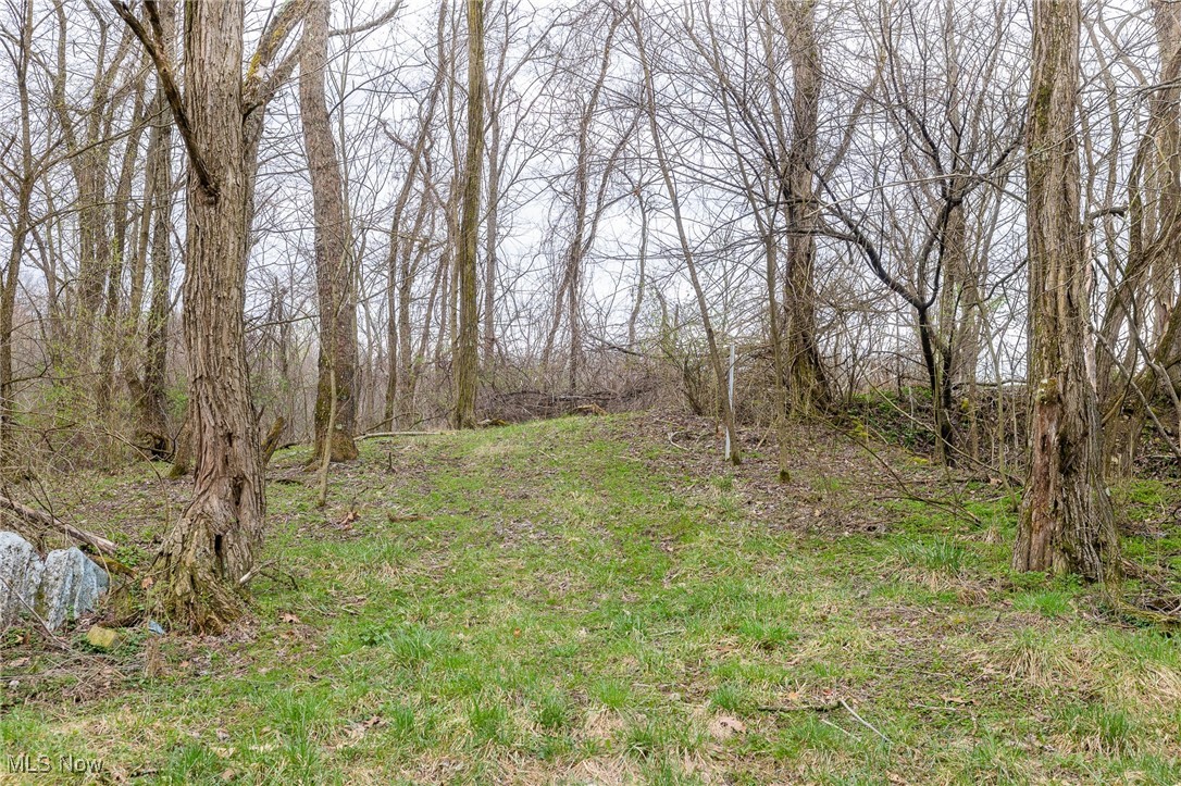 Oak Ridge Road Wellsville, OH 43968 - Photo 18 of 45 View of nature
