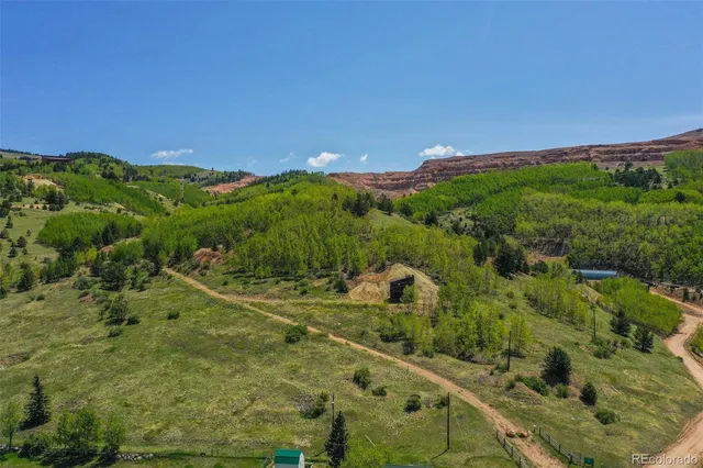a view of a lush green outdoor space with a lake view