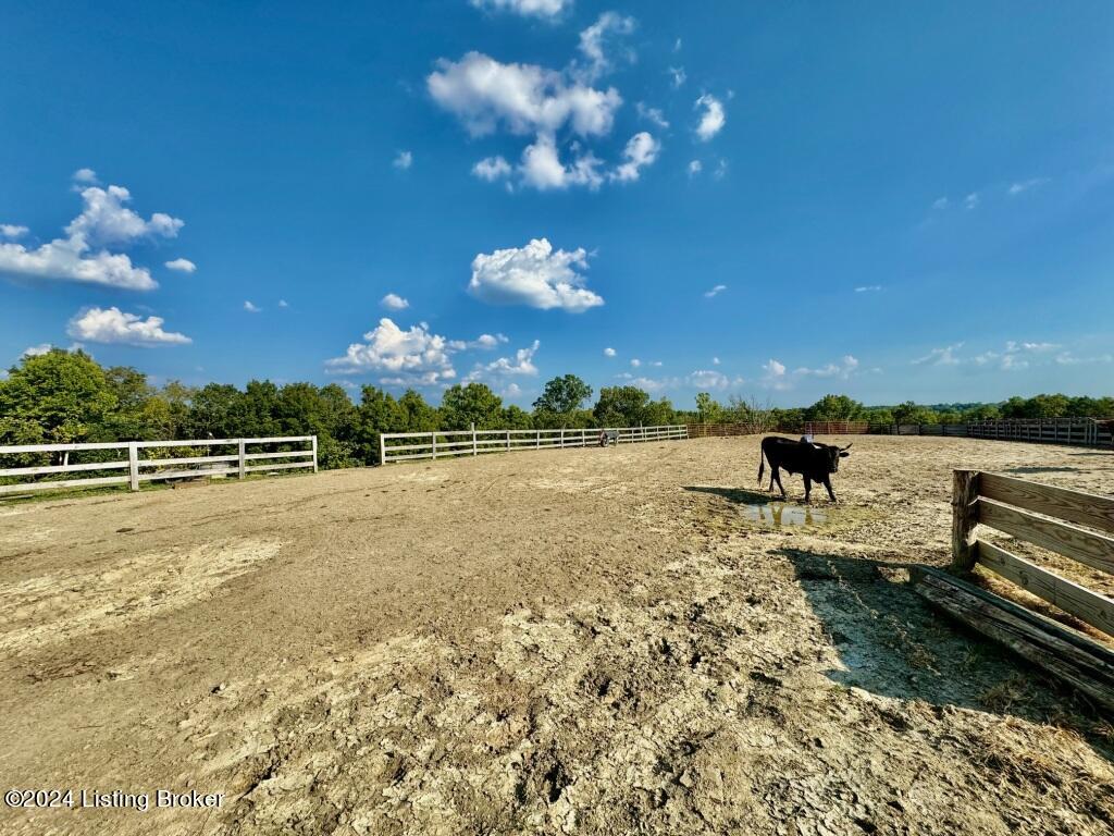 2411 Baker Ridge Road Willisburg, KY 40078 - Photo 62 of 74 059_IMG_9976