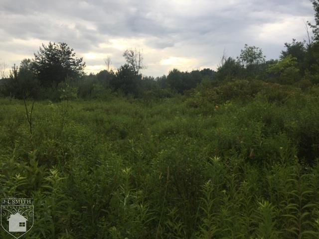 V/l Kilgore Road Avoca, MI 48006 - Photo 3 of 3