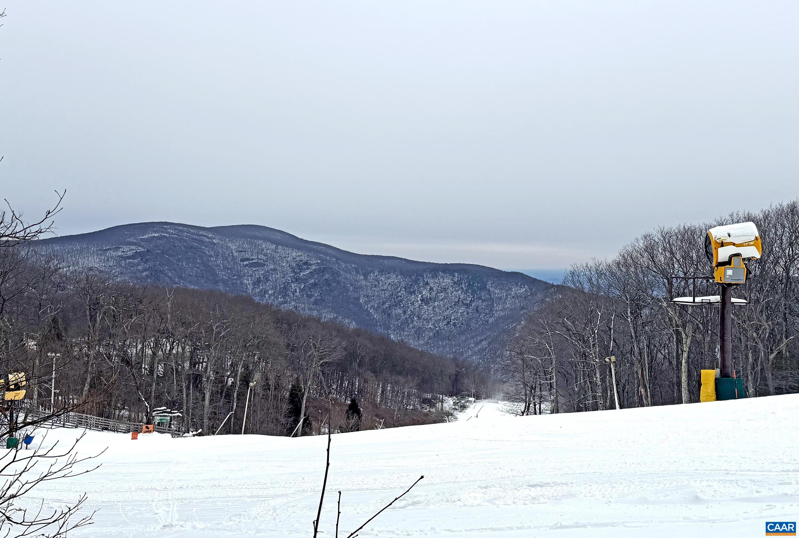 113 Eagles Court Roseland, VA 22967 - Photo 1 of 23 a view of a snow with mountain view