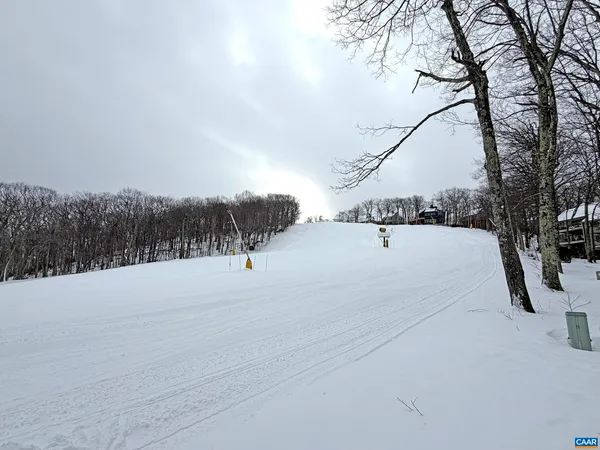 a view of bathtub and trees in the background