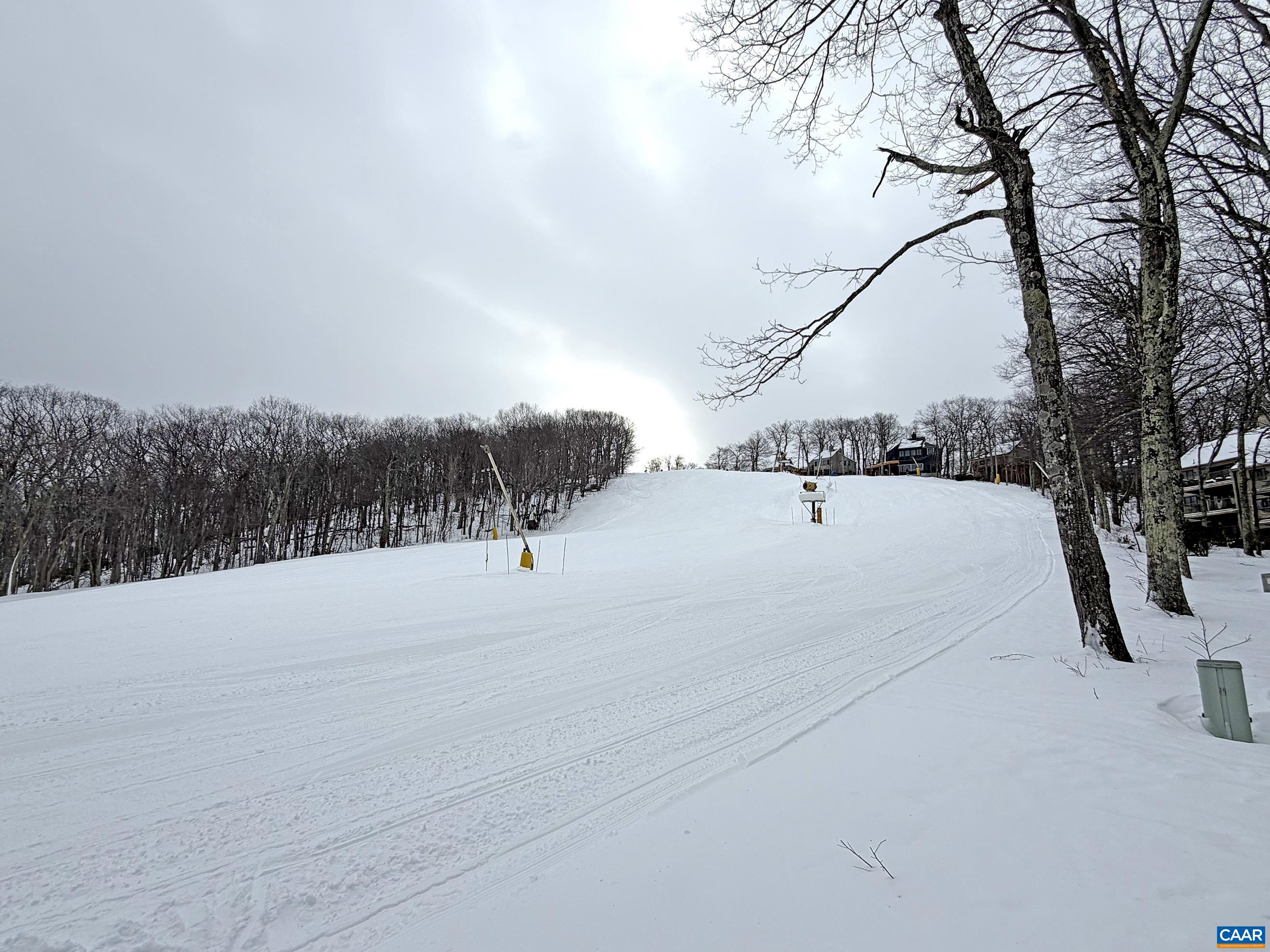 113 Eagles Court Roseland, VA 22967 - Photo 2 of 23 a view of bathtub and trees in the background