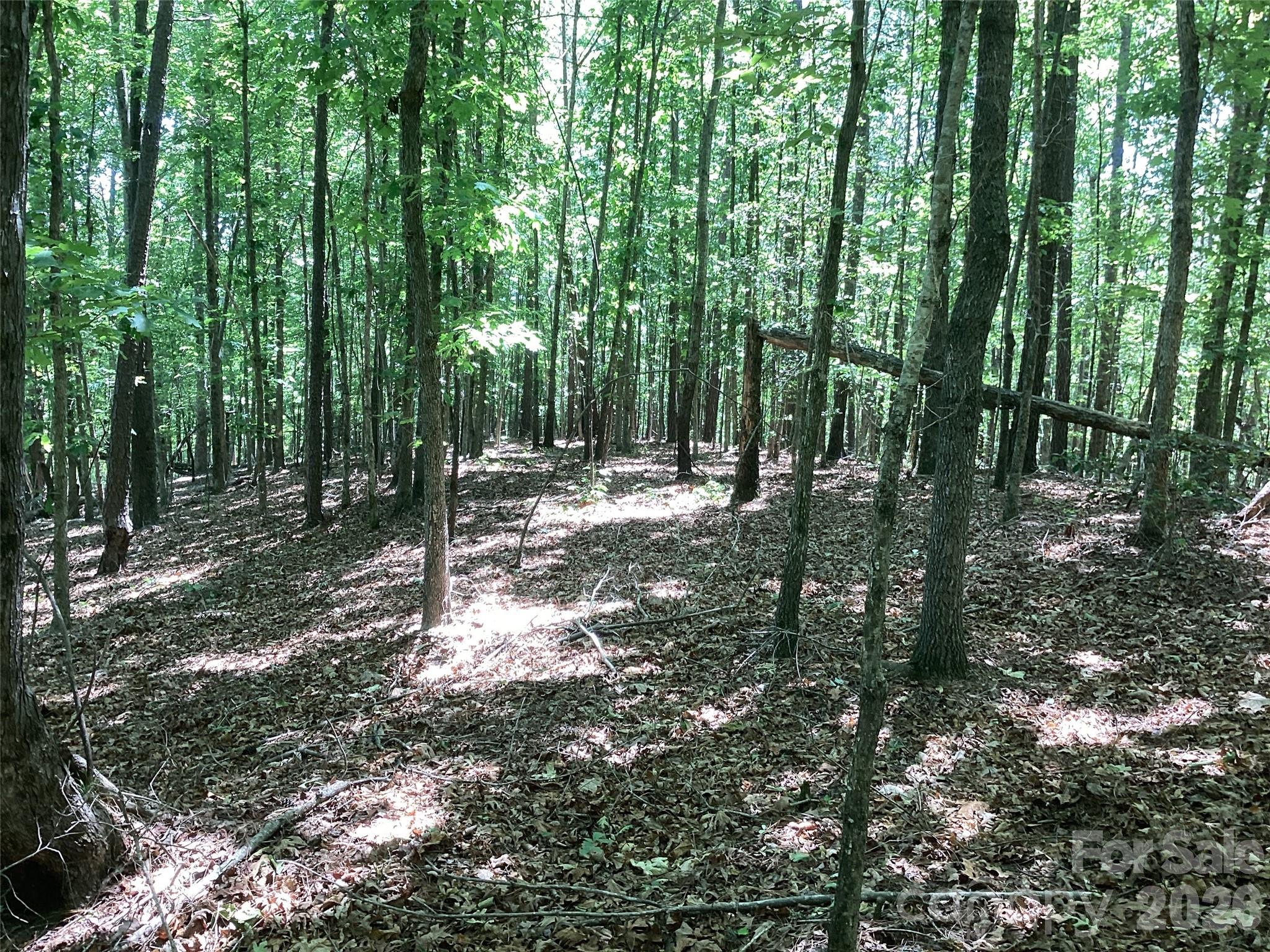 0 Powell Road Mill Spring, NC 28756 - Photo 6 of 22