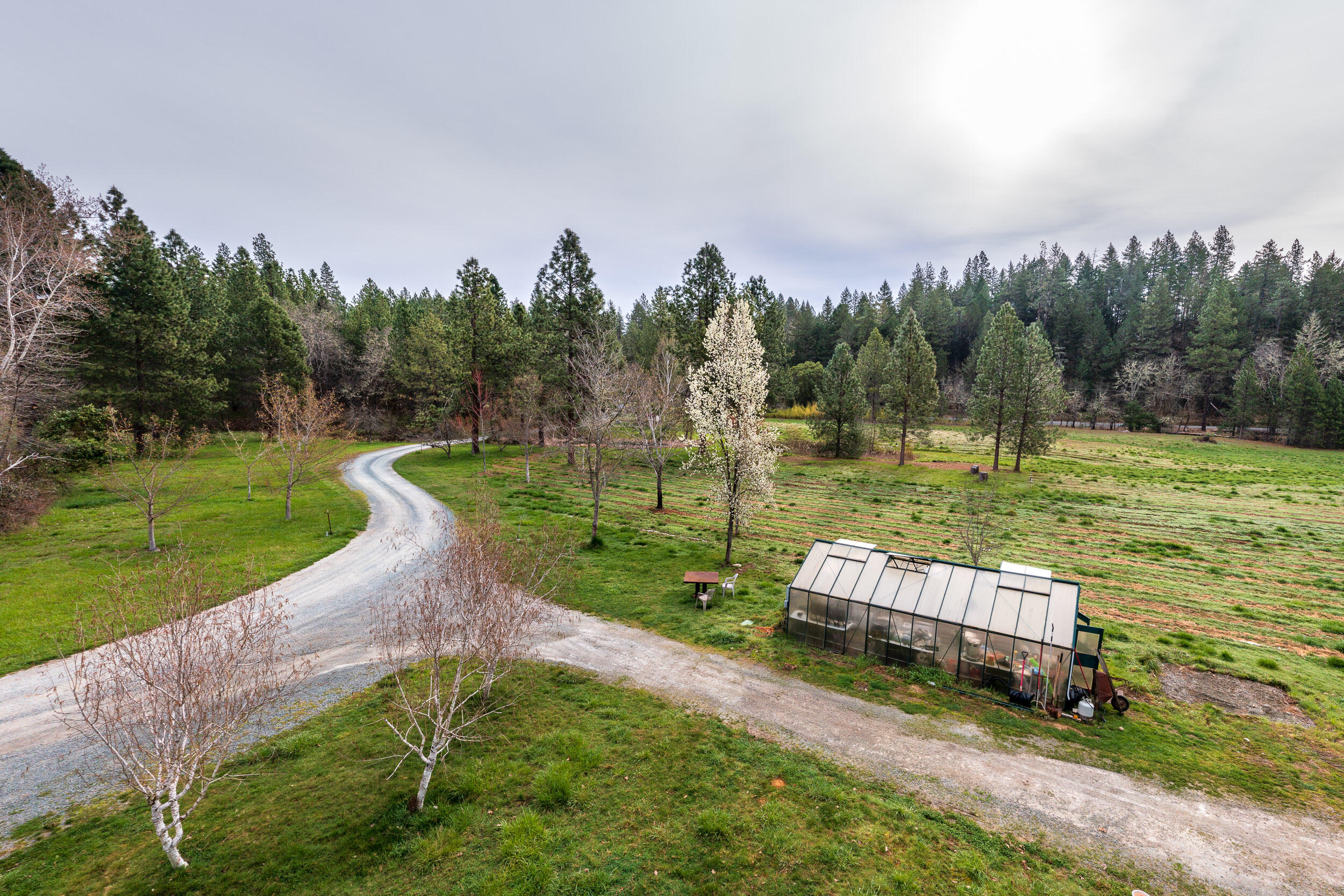 1450 Hugo Road Merlin, OR 97532 - Photo 7 of 47 Driveway Looking East