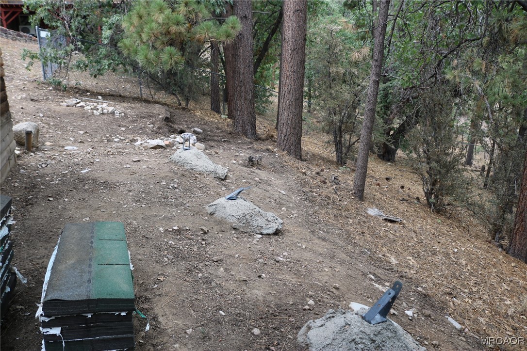 1247 Piney Ridge Place Fawnskin, CA 92333 - Photo 26 of 37 a view of a forest with trees