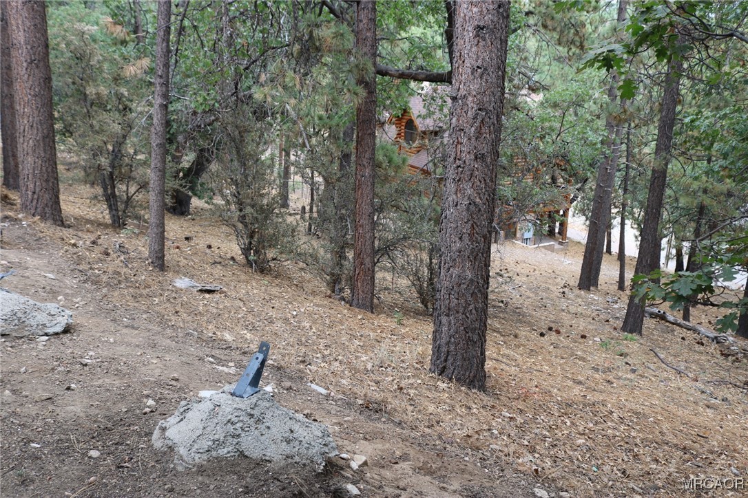 1247 Piney Ridge Place Fawnskin, CA 92333 - Photo 27 of 37 a view of a forest with trees in the background