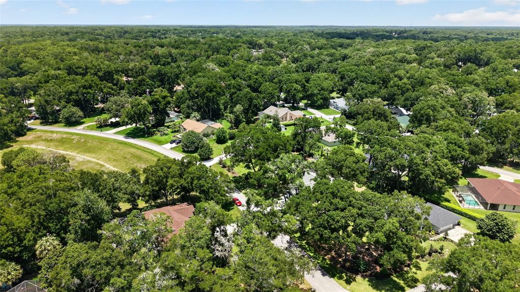 19025 Southwest 98th Loop Dunnellon, FL 34432 - Photo 62 of 80 a view of a lush green forest with a house
