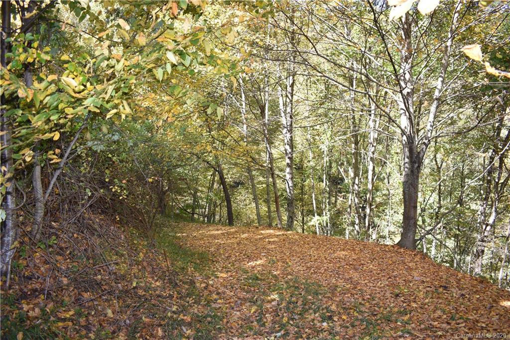 0 McCracken Farm Road, Unit 39 40 41 Clyde, NC 28721 - Photo 19 of 27