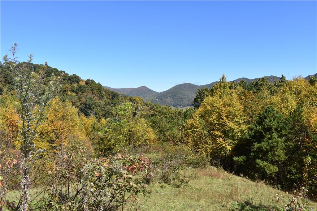 0 McCracken Farm Road, Unit 39 40 41 Clyde, NC 28721 - Photo 5 of 27