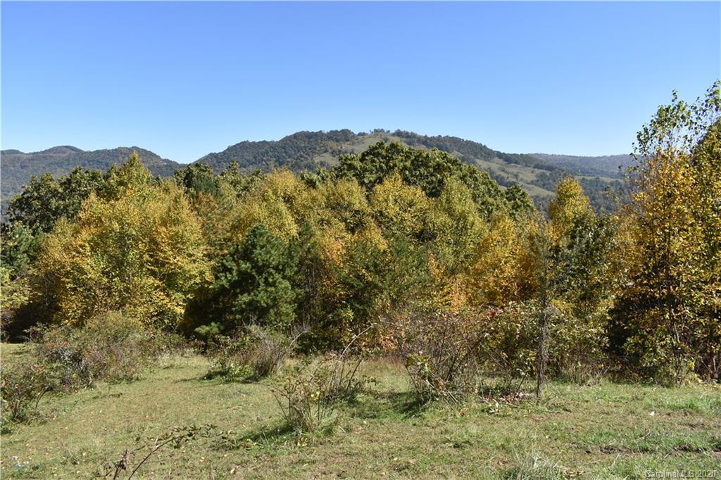 0 McCracken Farm Road, Unit 39 40 41 Clyde, NC 28721 - Photo 6 of 27