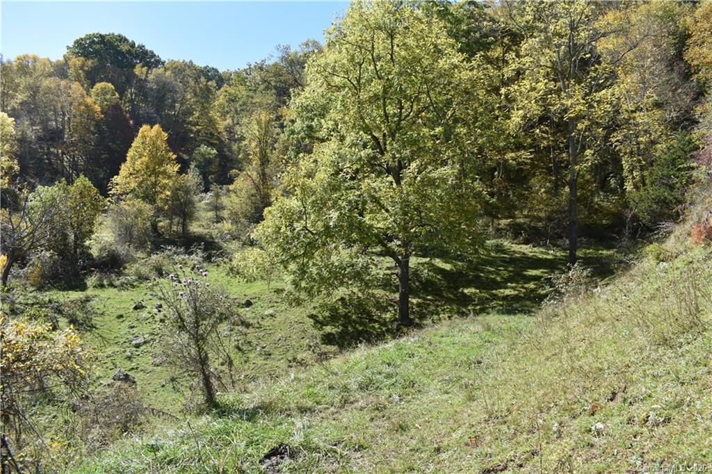 0 McCracken Farm Road, Unit 39 40 41 Clyde, NC 28721 - Photo 8 of 27