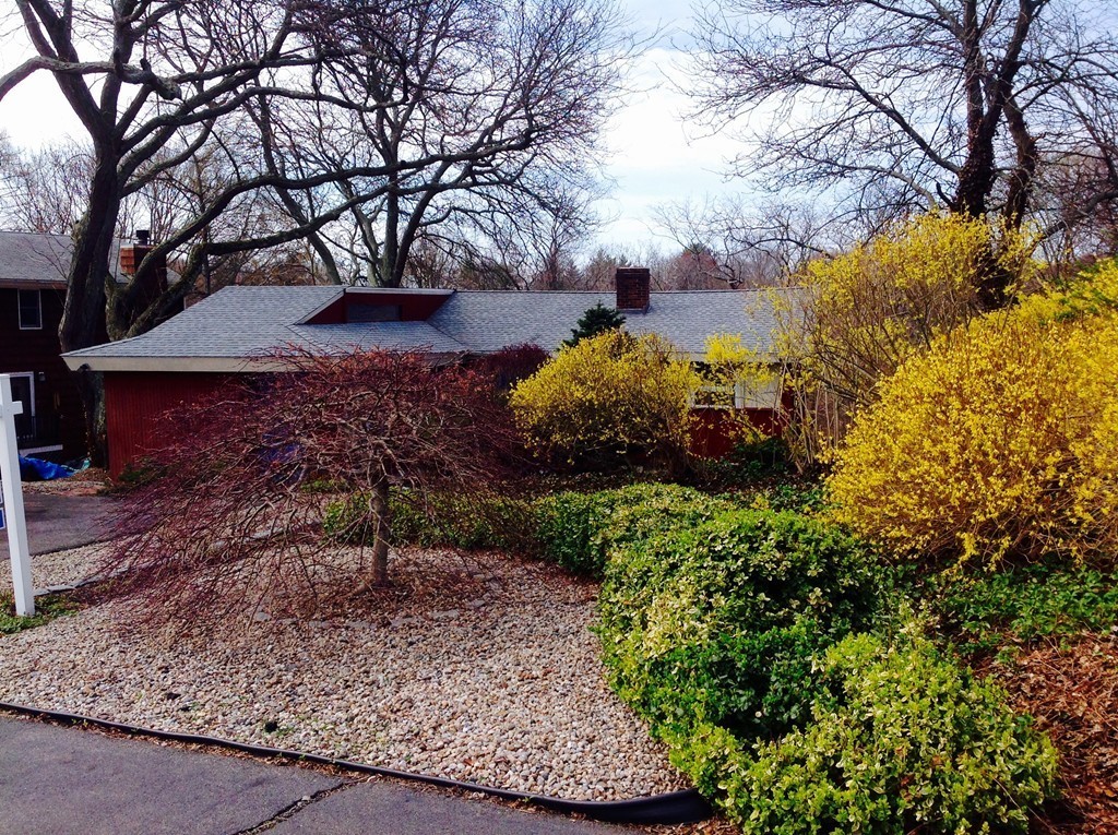 25 Haley Road Marblehead, MA 01945 - Photo 3 of 11 a view of a backyard with large trees