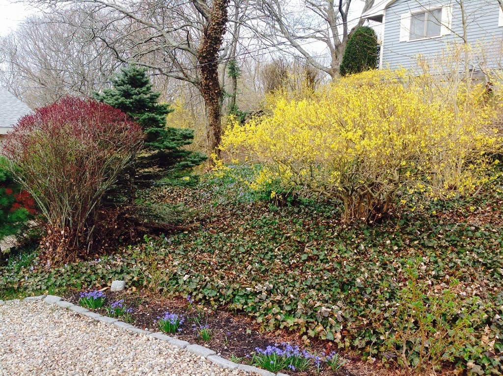 25 Haley Road Marblehead, MA 01945 - Photo 4 of 11 a view of backyard with garden