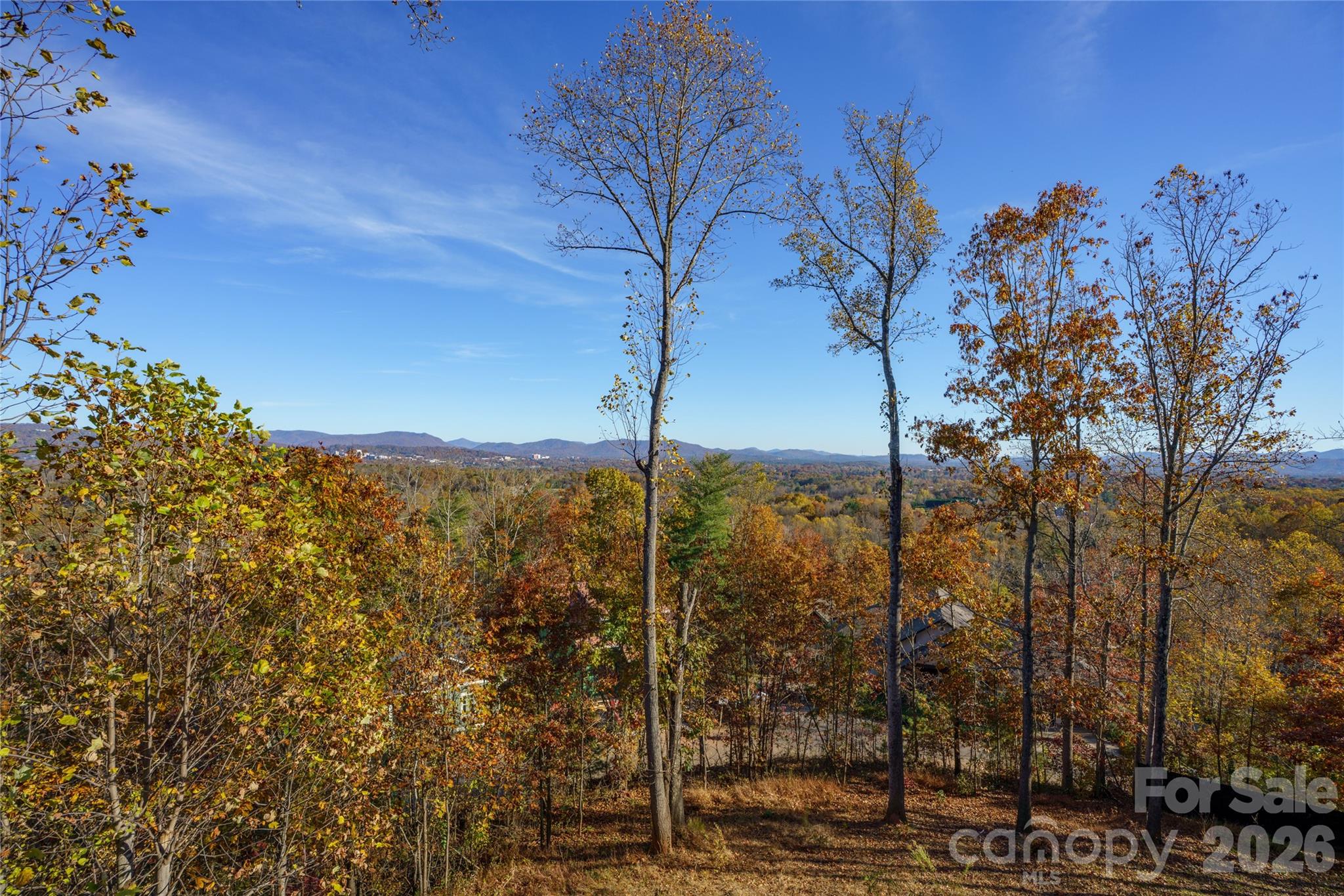 41 Ben Lippen School Road Asheville, NC 28806 - Photo 39 of 40