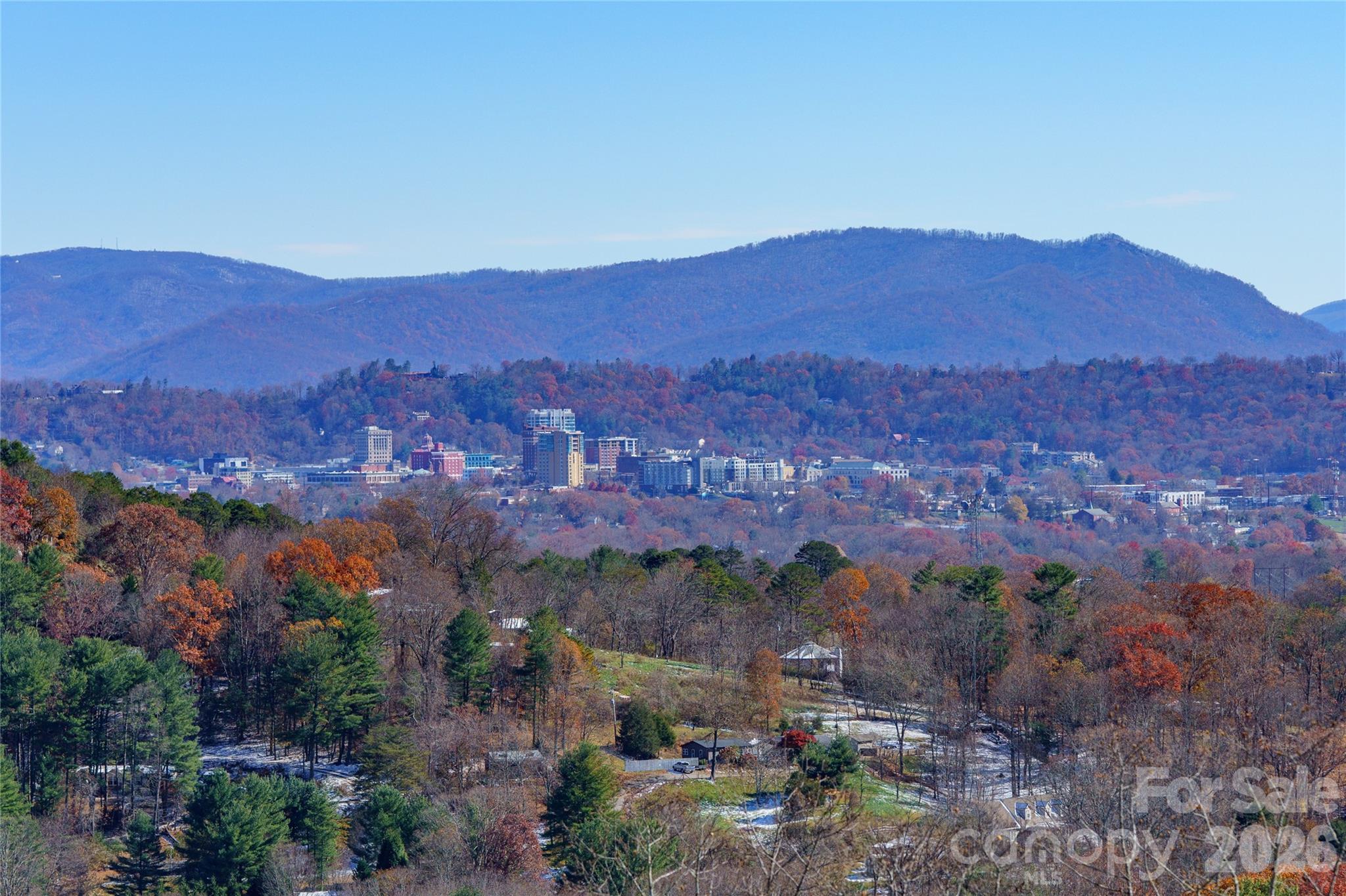 41 Ben Lippen School Road Asheville, NC 28806 - Photo 4 of 40