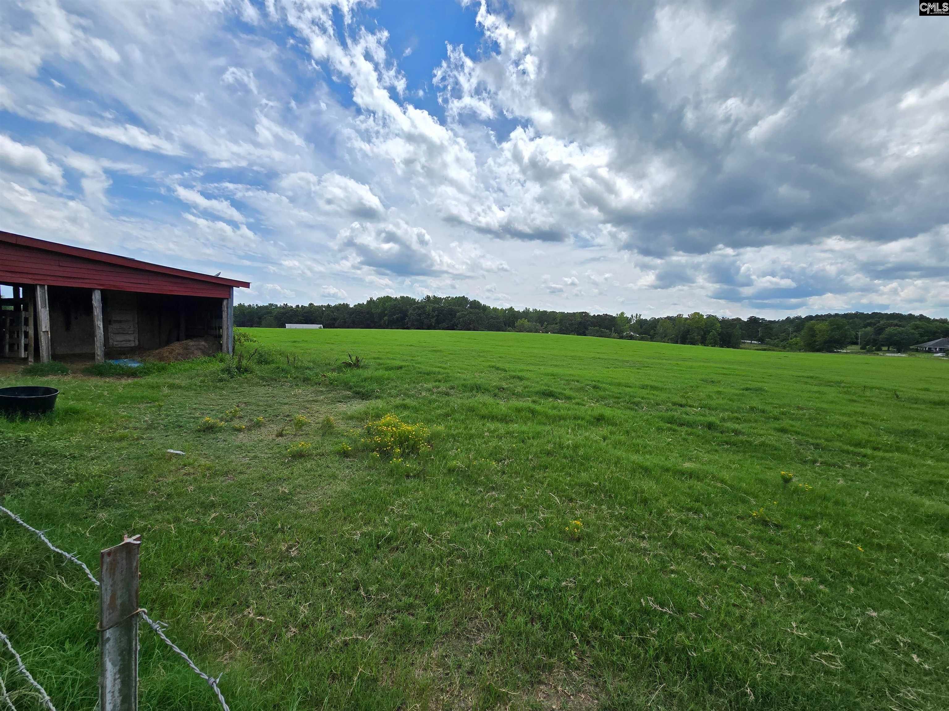 542 Pea Ridge Highway Jonesville, SC 29353 - Photo 14 of 15 Gallery Image 14